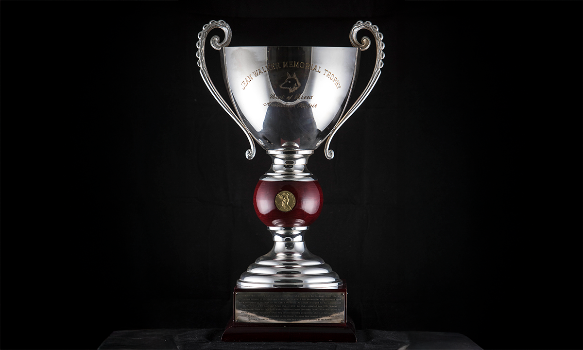 Silver twin handled cup with the head of a dog etched in the centre. The cup is positioned on a red coloured, curved stem with a gold medallion of victory in the middle, raised on a wooden base. First presented in 1997.  