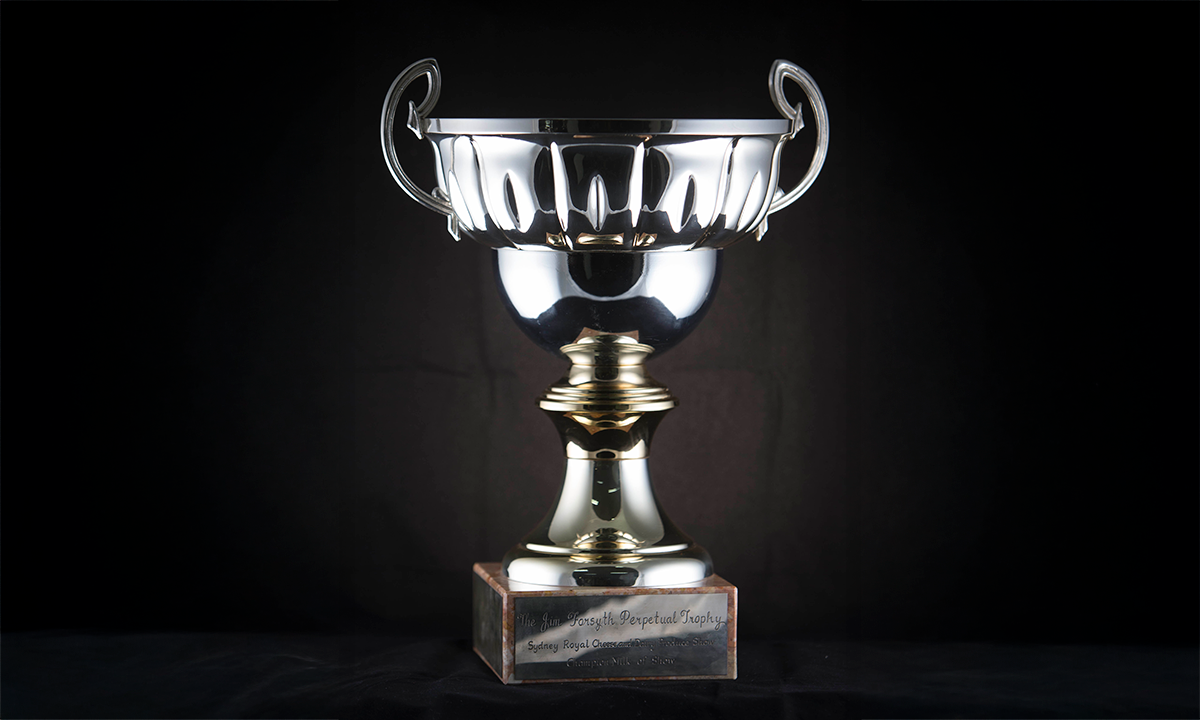 Silver twin handled cup with an elongated gold-coloured neck mounted on a square onyx base. First awarded in 1997. 