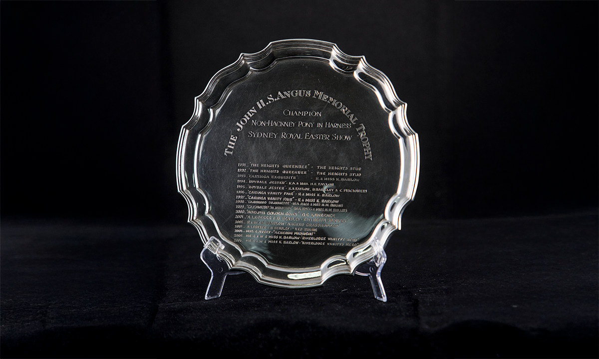 Round silver plate with scalloped edges, raised on scroll feet. The name of the trophy and winners are engraved on the centre of the plate. First presented in 1991.