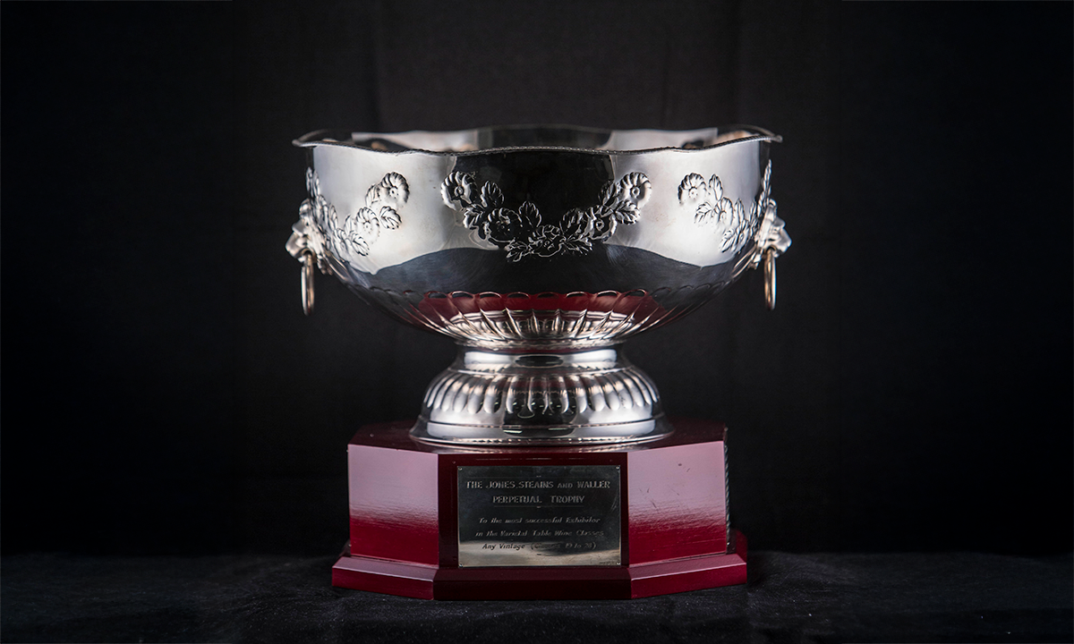 Silver punch bowl embossed with floral garlands, lion mask and ring drop handles, mounted on an octagonal wooden base. First awarded in 1983.