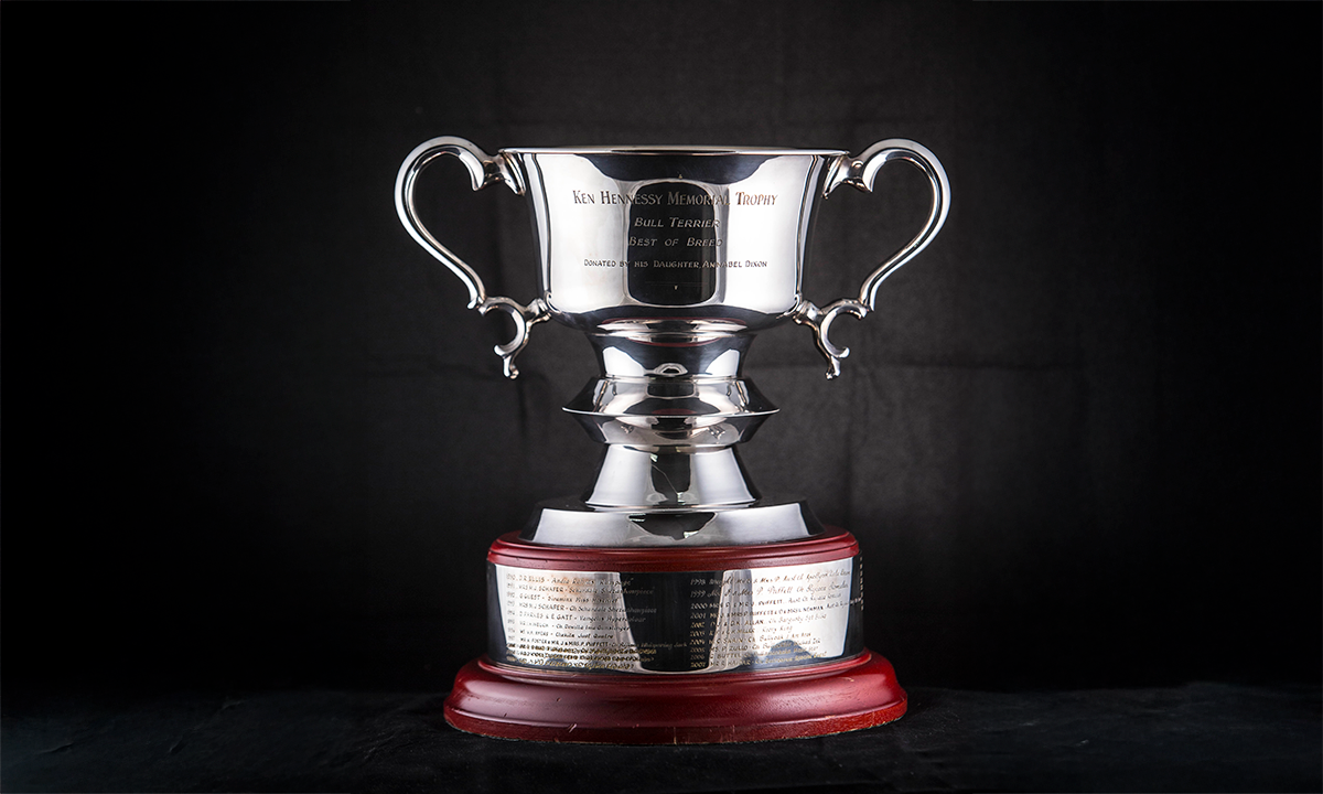 Large silver twin handled cup, raised on a rosewood-stained wooden base. First awarded in 1990. 