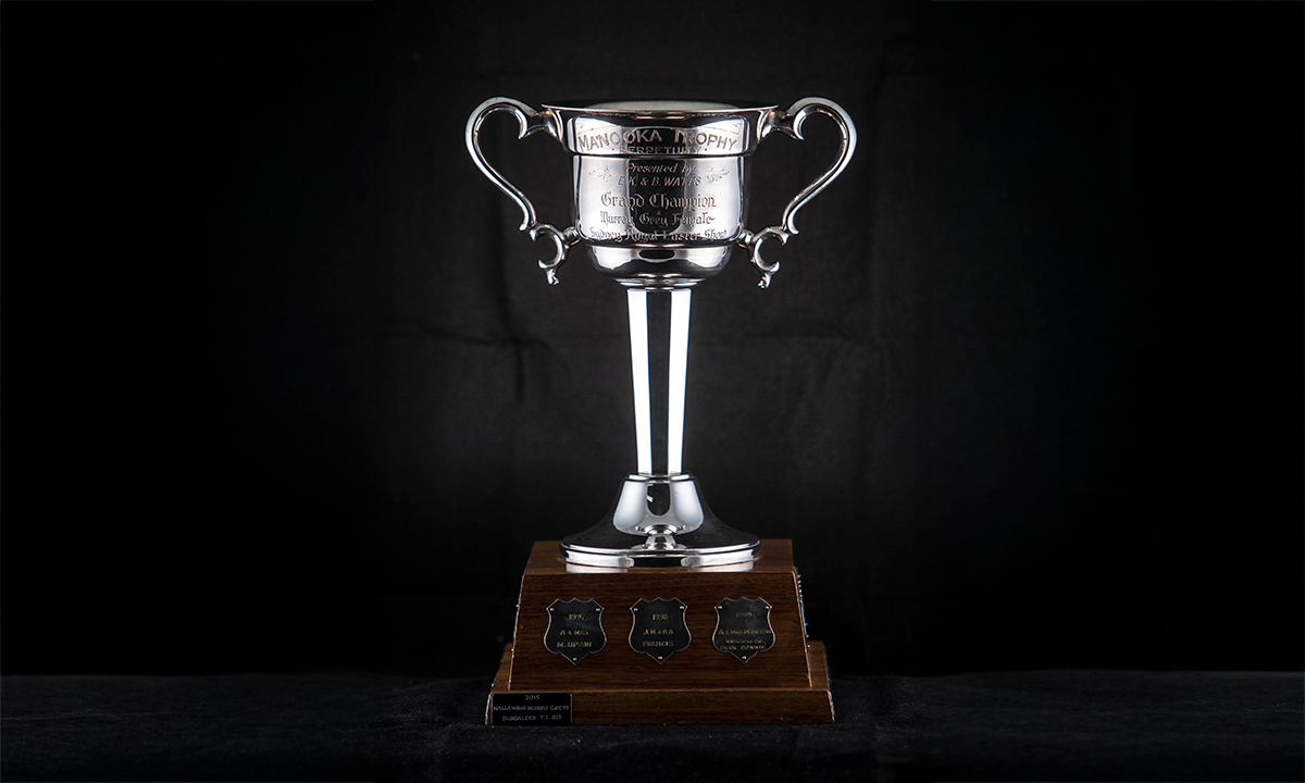 Silver-plated twin handled trophy cup with a gilt interior, on an octagonal stem, mounted on an oak base.
