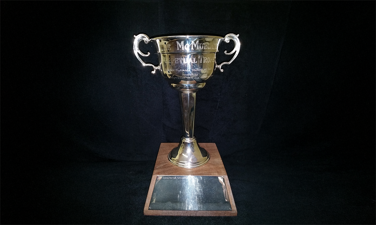 Silver twin handled cup, on an octagonal stem and circular foot, raised on a timber plinth with applied presentation plates. First presented in 2017.