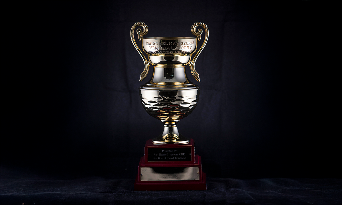 Gold coloured twin handled urn with an embossed lower body, raised on a stepped base. First presented in 1996.