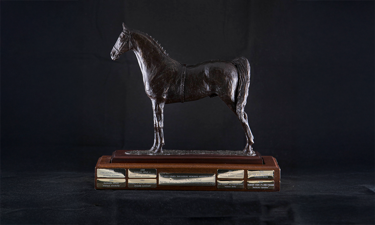 Bronze horse raised on a rectangular wooden base. First awarded 1990.