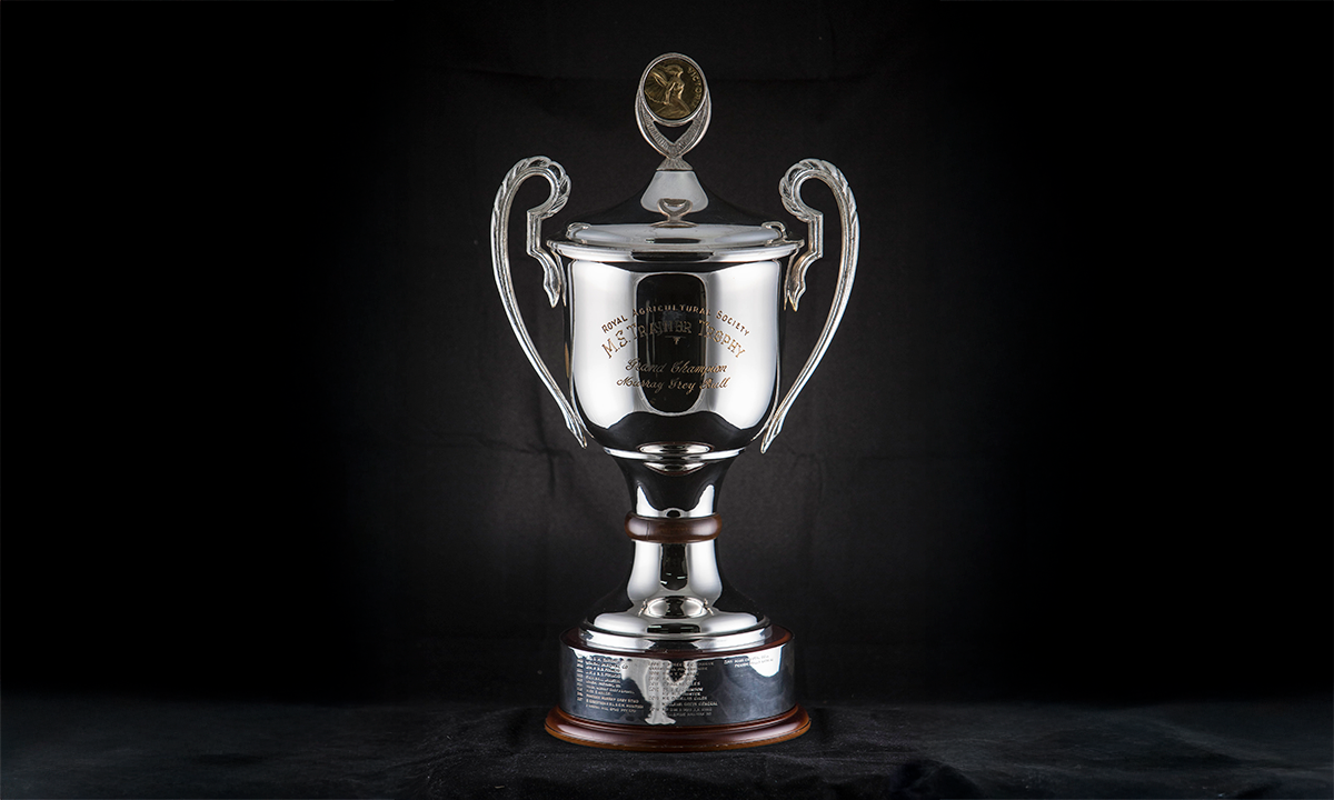Silver twin handled lidded cup with a brass medallion, Victoria inset to the lid, raised on a wooden plinth. First presented in 1998. 
