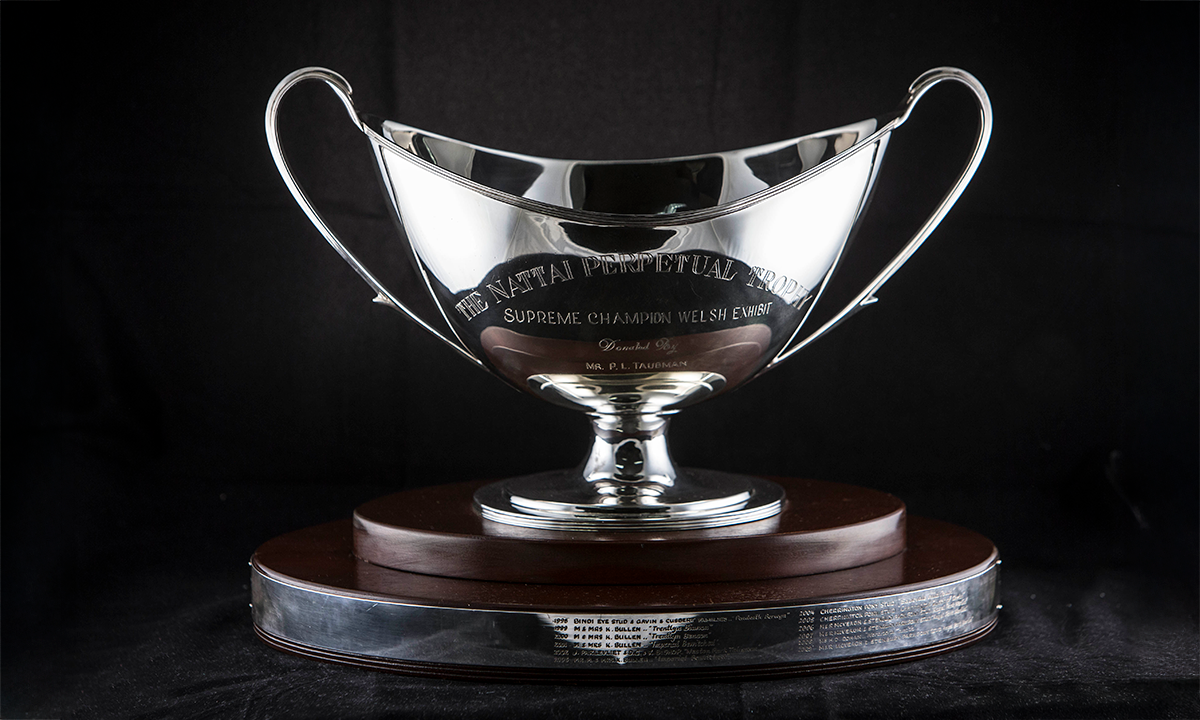 Silver twin handled boat shaped trophy, raised on a tiered oval base. First presented in 1998.