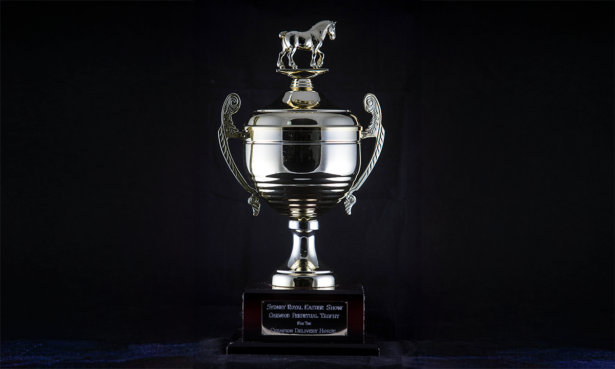 Silver lidded cup with a figure of a Clydesdale attached to the top of the lid. First awarded in 1999.