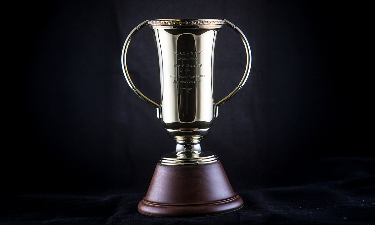 Gold-plated cup with twin loop handles and a floral embossed border, raised on a spreading timber plinth. First awarded in 1960.