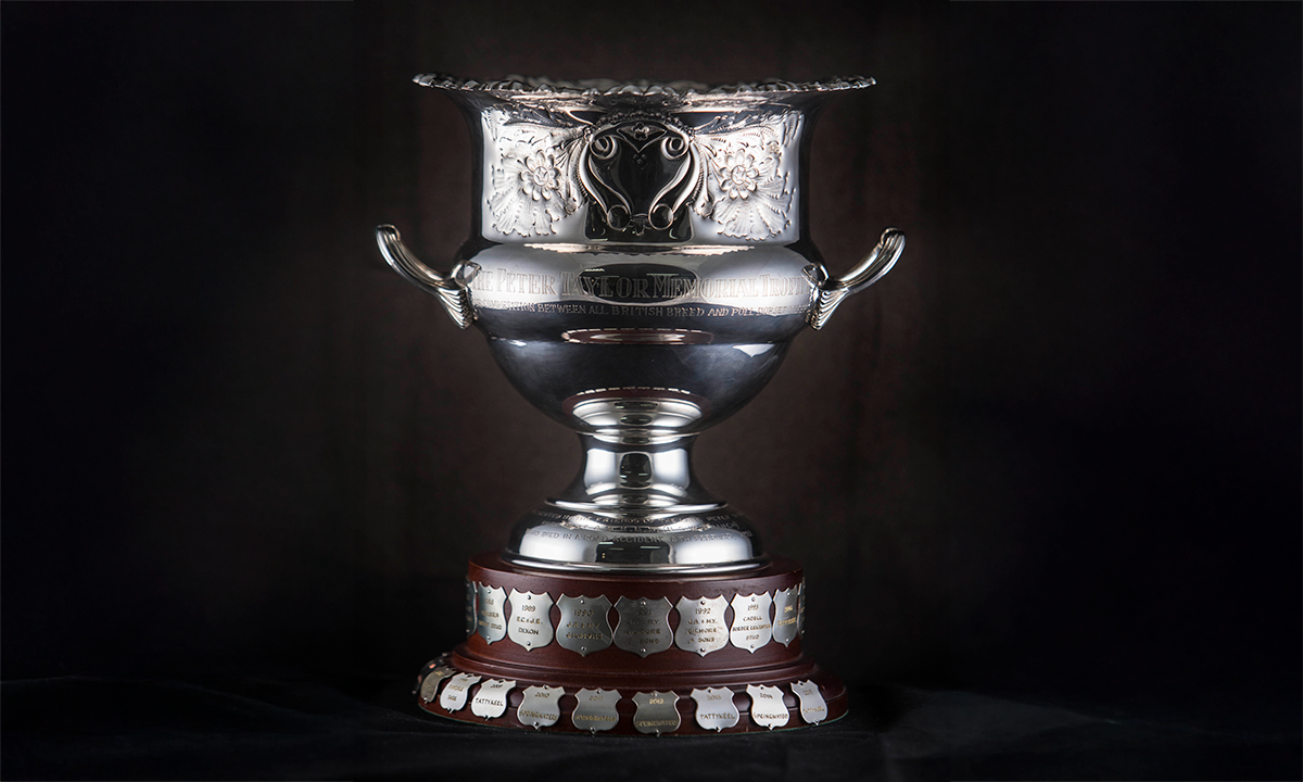 Silver trophy with a floral rim and, scroll and floral engraved decoration on the body, and reeded loop handles. The cup is mounted on a circular wooden base with applied shields bearing the names of previous winners. First awarded in 1984.