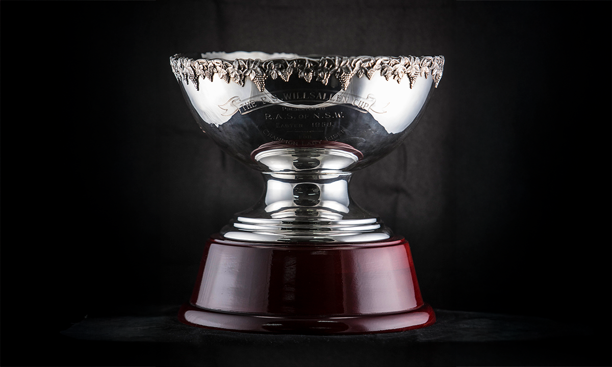 Silver punch bowl with an applied fruiting vine border mounted on a timber base. First presented in 1956.