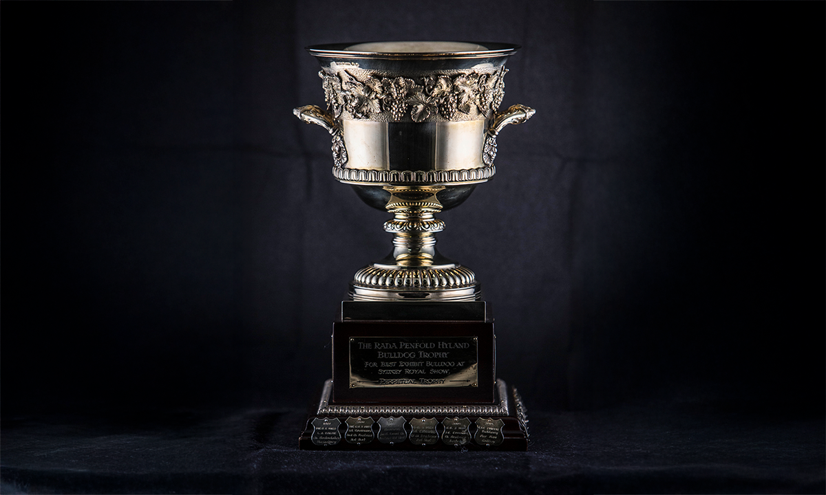 9ct gold cup with cast applied decoration raised on a square wooden base. First awarded in 1973.
