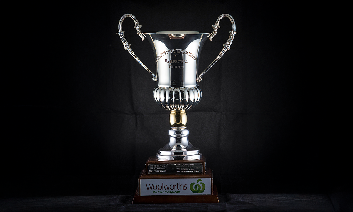 Silver-plated cup with scroll handles, mounted on a wooden base. First awarded in 1996.