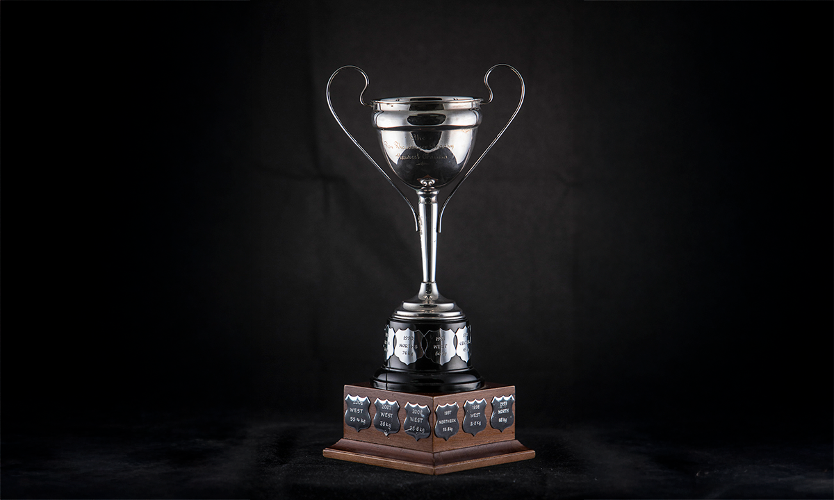 Silver-plated twin handled cup with scroll handles, raised on a black base. An additional wooden base has been added to accommodate engraving of winner’s names. First awarded in 1989.