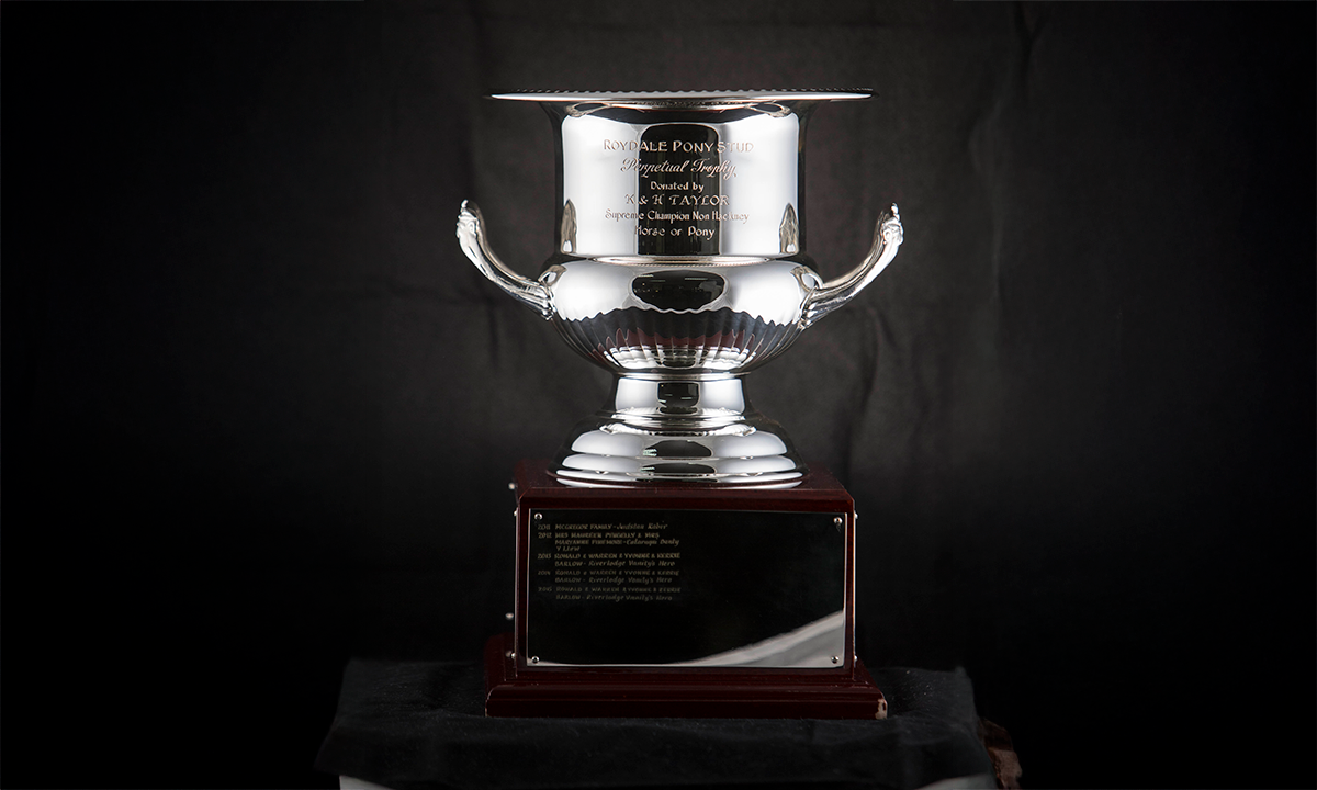 Silver wine cooler with twin handles, raised on a square base. First presented in 2011.