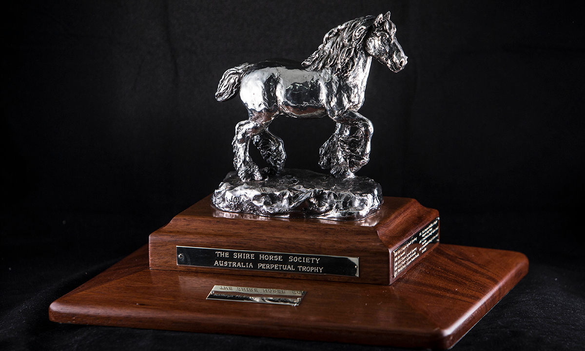 Silver-plated bronze figure of a Shire horse, mounted on wooden base. First awarded in 2007.