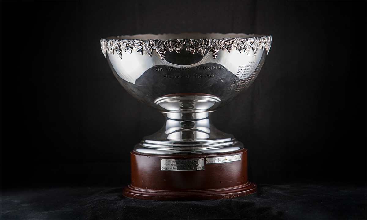 Silver punch bowl with an applied fruiting vine border mounted on a timber base. First presented in 1973. 