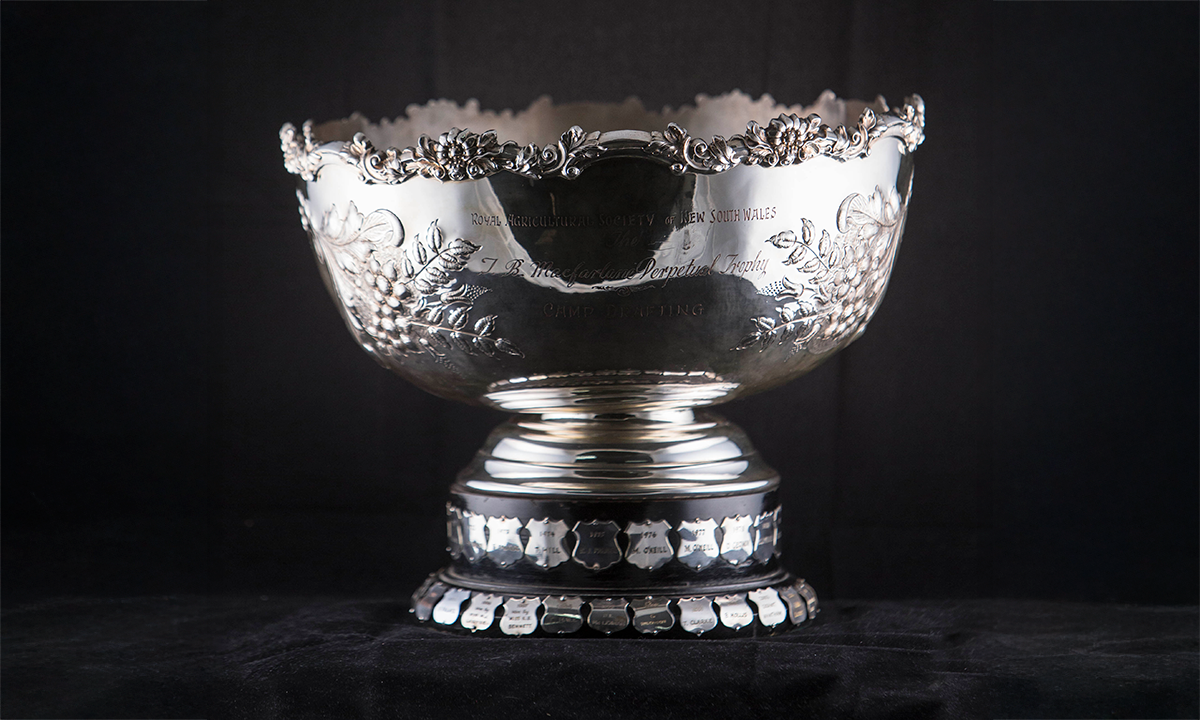 Silver-plated punch bowl embossed with flowers and foliage and wire top, mounted on a blackened wooden base. First awarded in 1969.