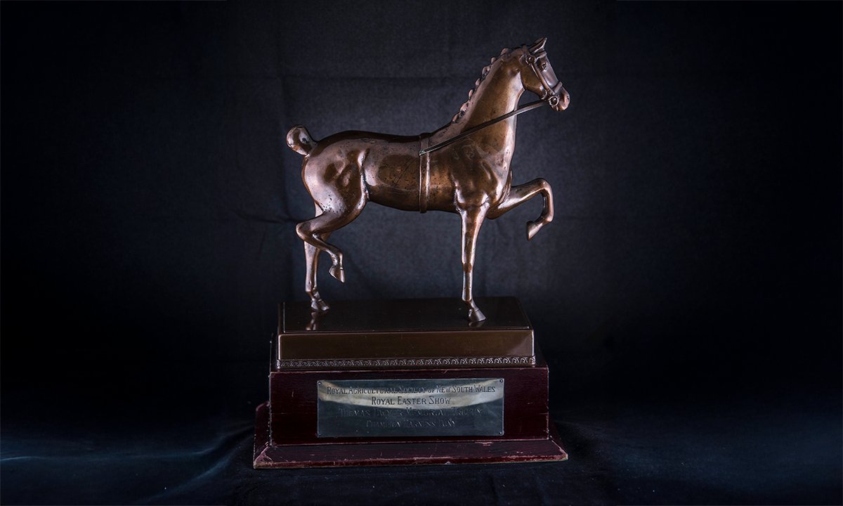 Polished bronze figurine of a harness pony in full Show dress and pose, mounted on a wooden base. First awarded in 1962.