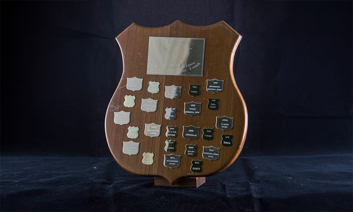 Pine shield with applied gilded plaques, one engraved with a Suffolk sheep. First awarded in 1991.