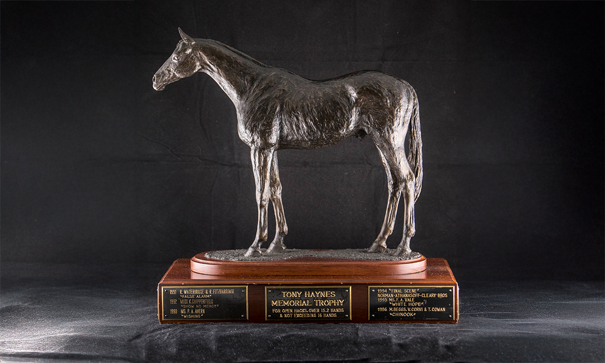 Bronze model of a horse, mounted on a rectangular wooden base. Bronze plaques with the name of the trophy and the names of previous winners are attached the wooden base. First awarded 1991.