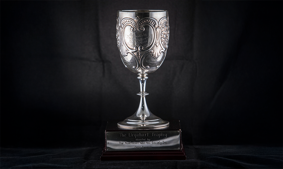 Silver chalice, raised on a circular foot, attached to a wooden base. First awarded in 1999.