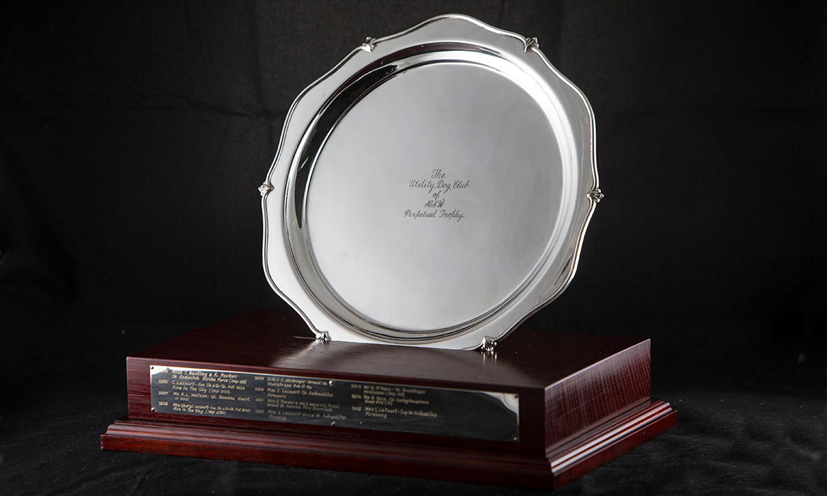Circular silver platter with ornate edges, placed in a groove within a rectangular wooden base. The names of previous winners are engraved on a rectangular plate that is attached to front the wooden base. First awarded 2005.