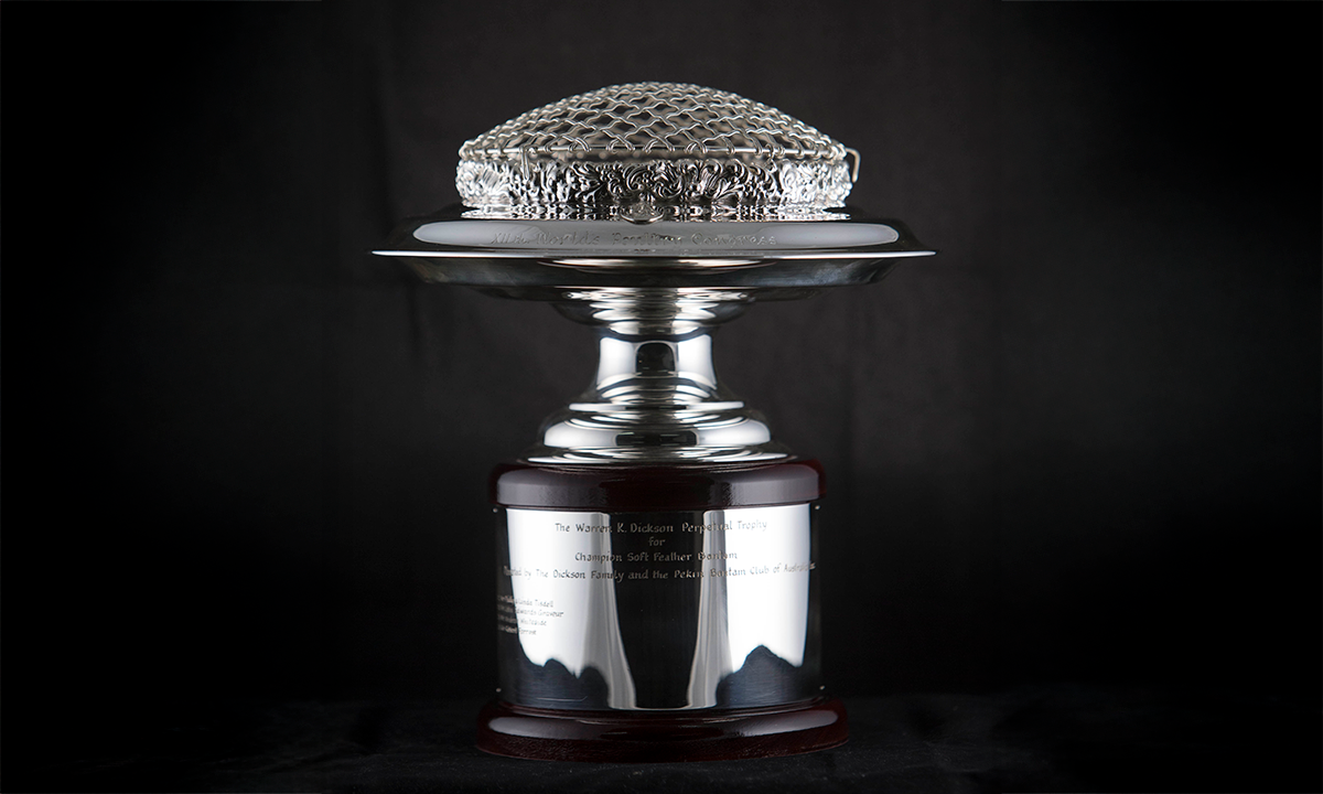 Silver rose bowl standing on a stepped wooden plinth. The trophy bears the inscription 