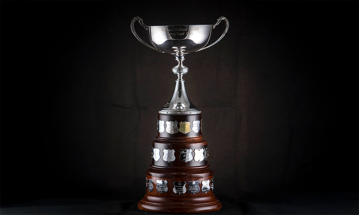 Silver twin handled shallow form cup with dragons connecting the handles to the cup, raised on a three-tiered, dark wooden base. First awarded in 1977. 