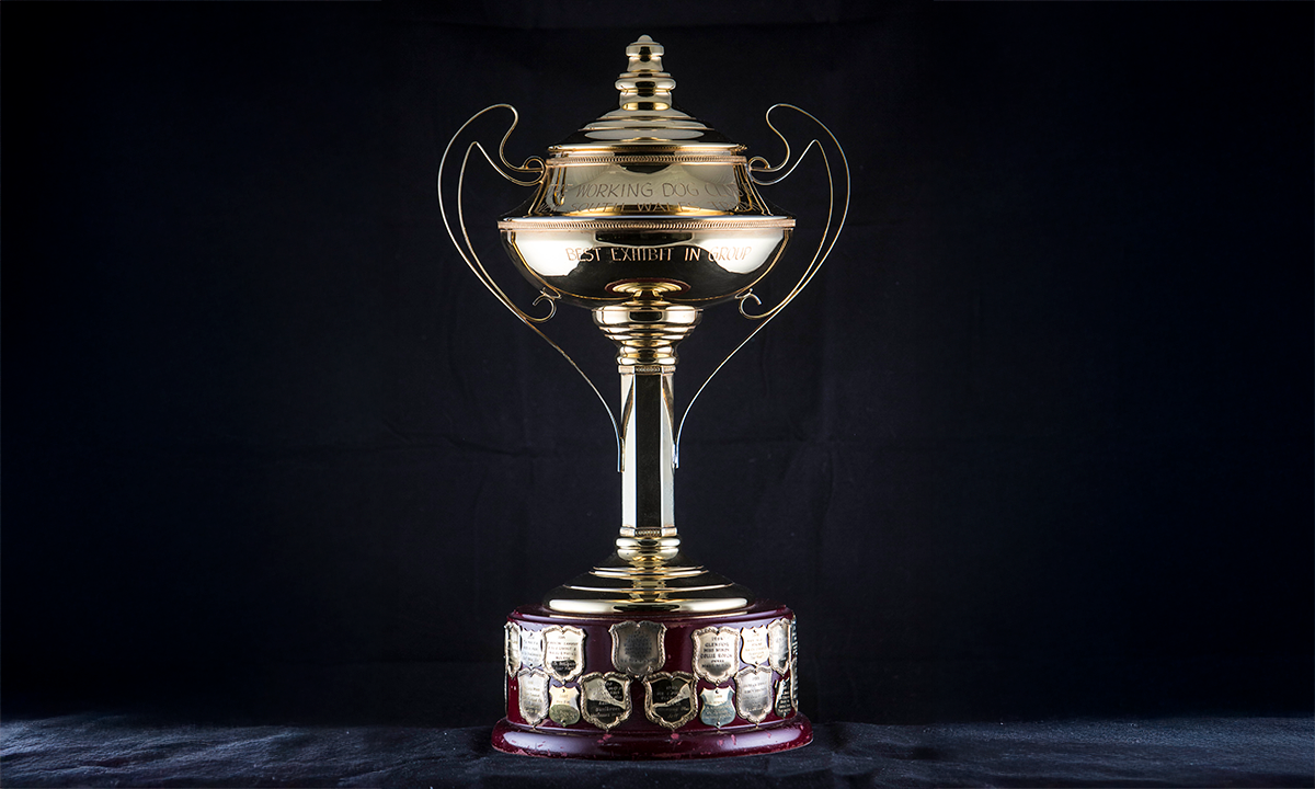 Tall gold coloured twin handled trophy cup with a cover and finial raised on a circular wooden base. First presented in 1982.