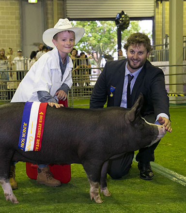 A young male exhibitor poses with a dark brown-coloured pig and a show judge at the Sydney Royal Pig Show.