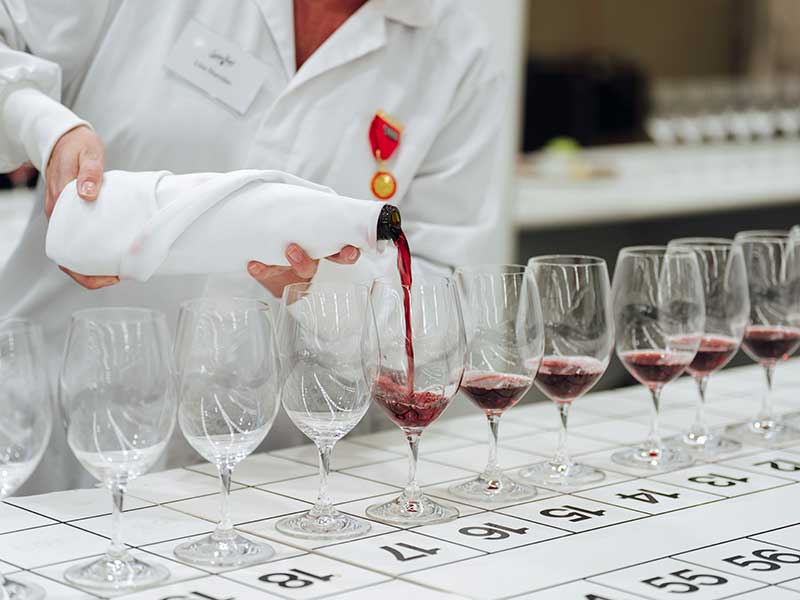 Apply for a Wine Scholarship