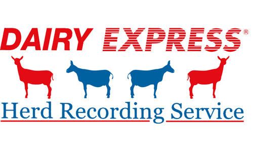 Dairy Express - Goat