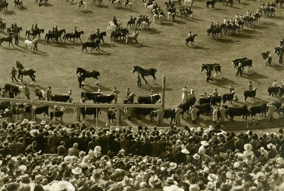 Grand Parade Heritage Highlight