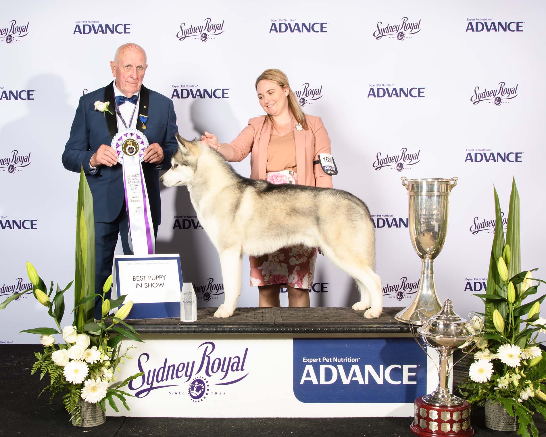 Best Puppy in Show - Sydney Royal Dog Show