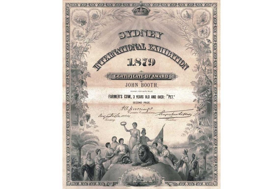 1879 Sydney International Exhibition Certificate