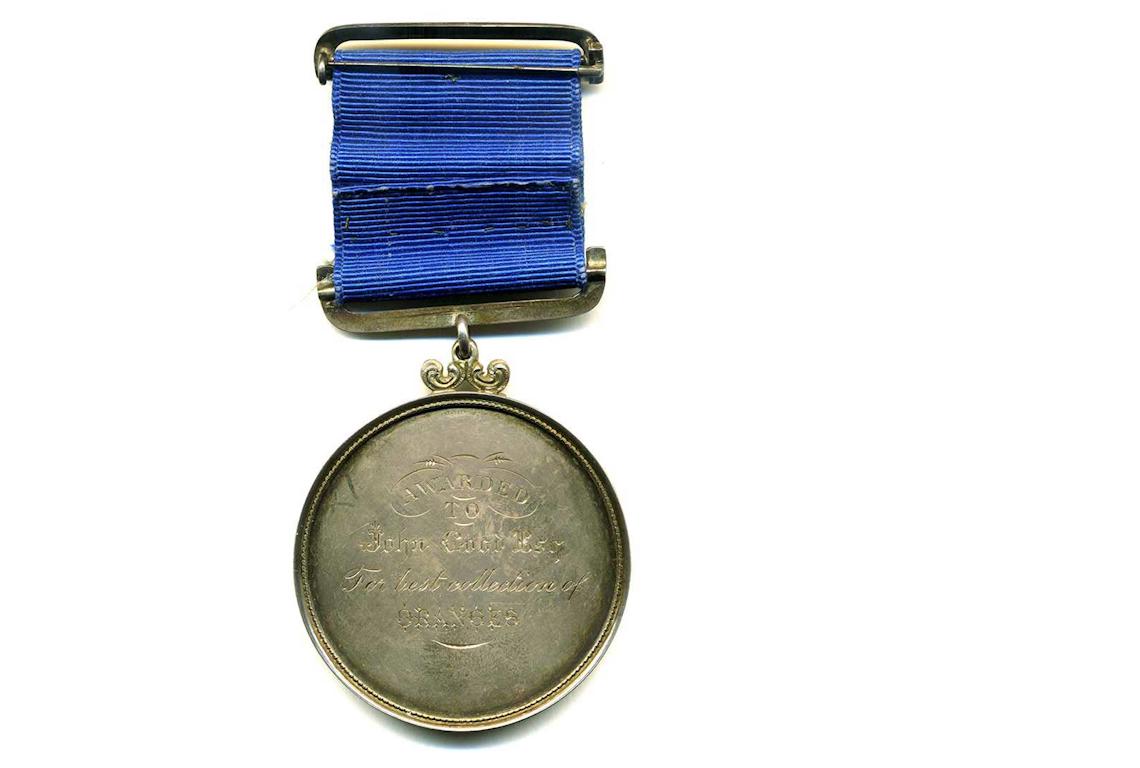 1867 Medal for Oranges