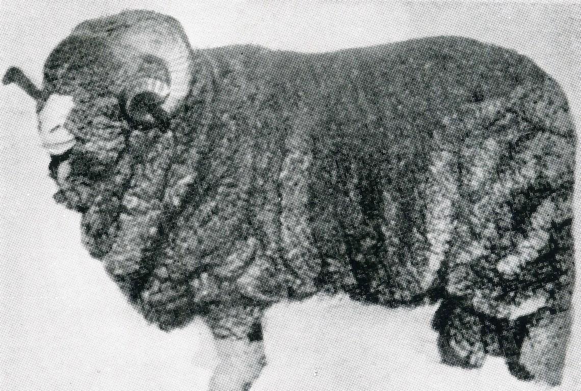 Sheep Champion Merino 1898 - Photo