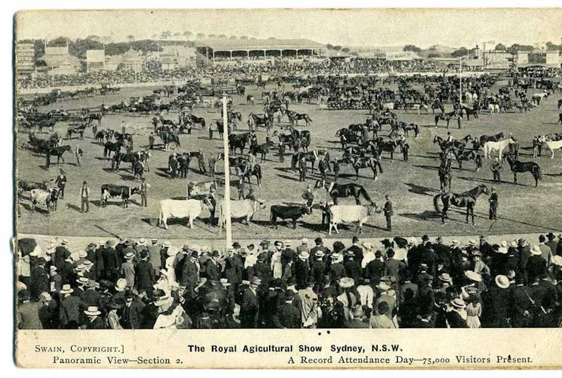 Grand Parade 1900s -Photo