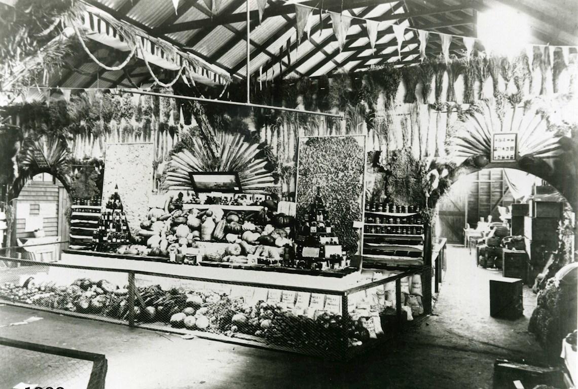 District Exhibit 1900s - Photo