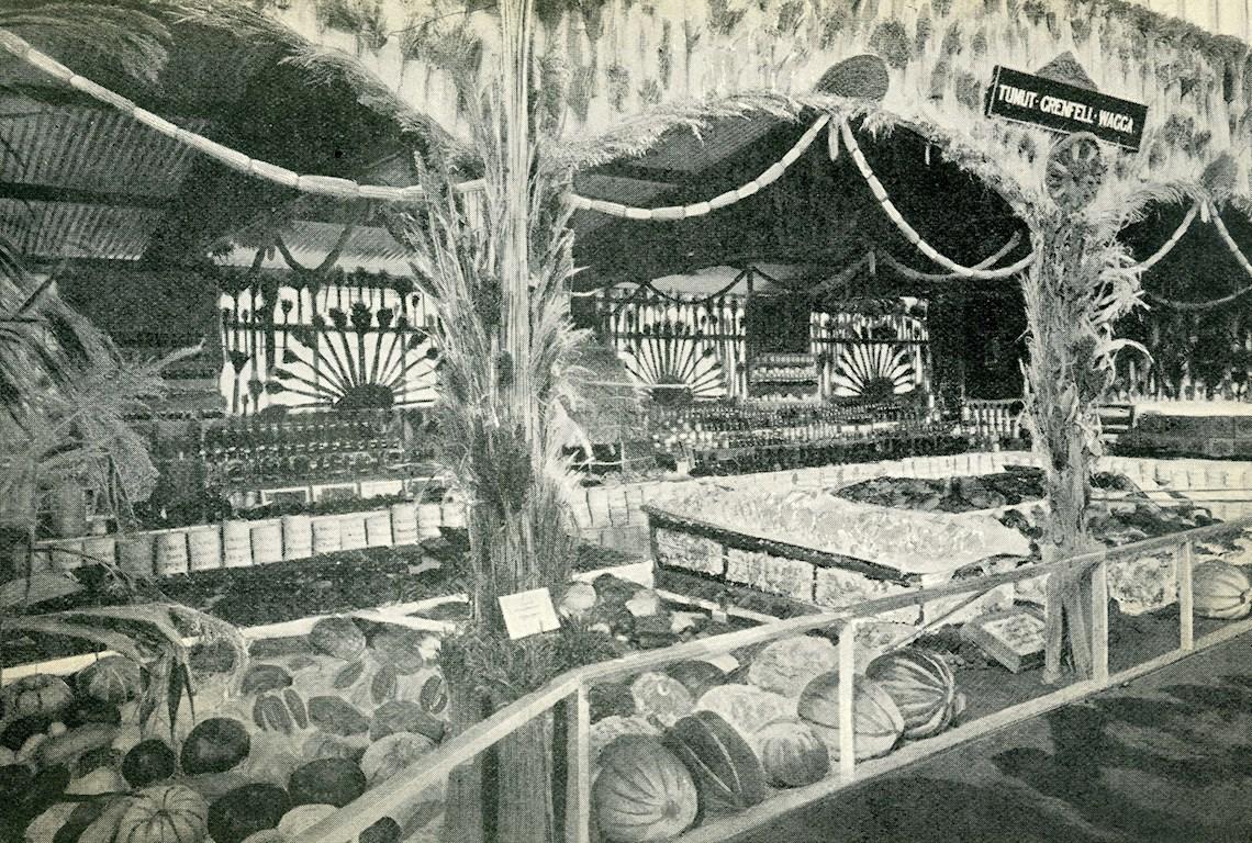 District Exhibit 1907 - Photo