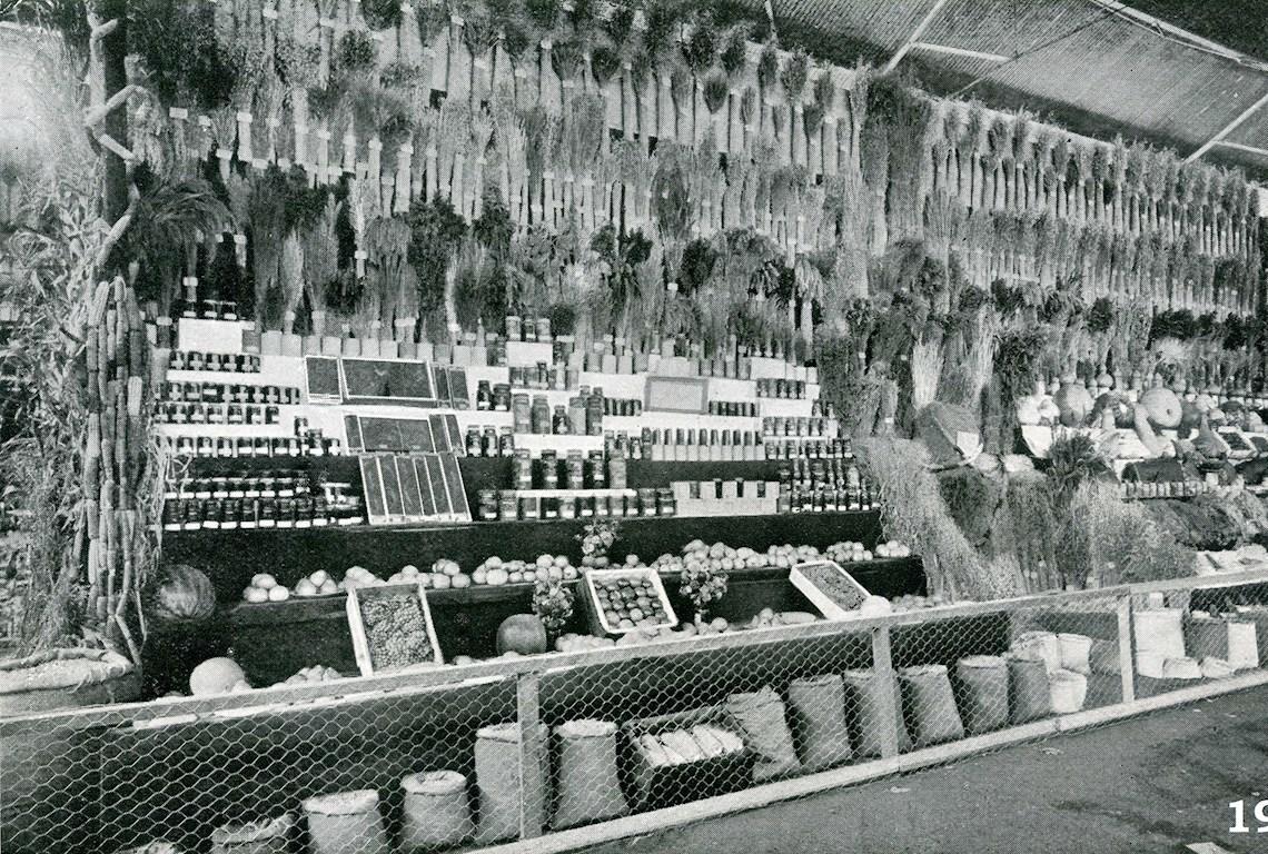 District Exhibit 1910 - Photo