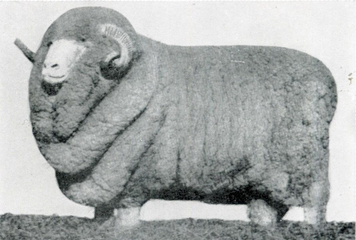 Sheep Champion Merino 1928 - Photo