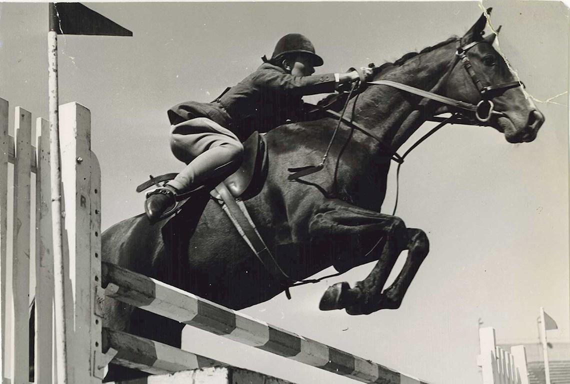 Horse Jumping - Photo