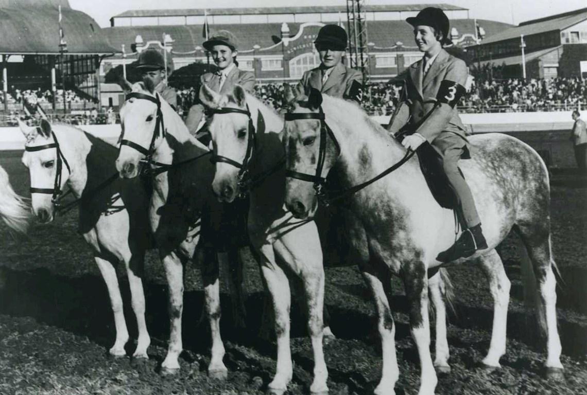 Horses 1949 - Photo