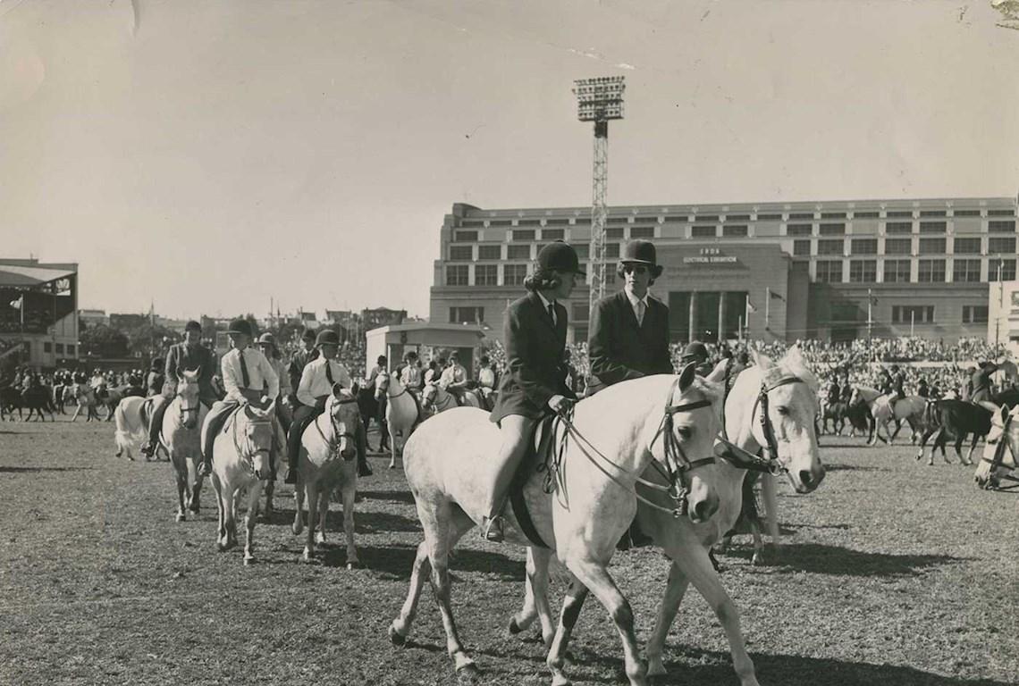 Horses Grand Parade - Photo