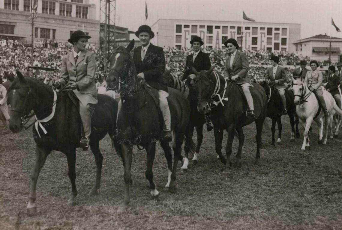 Horses Grand Parade - Photo