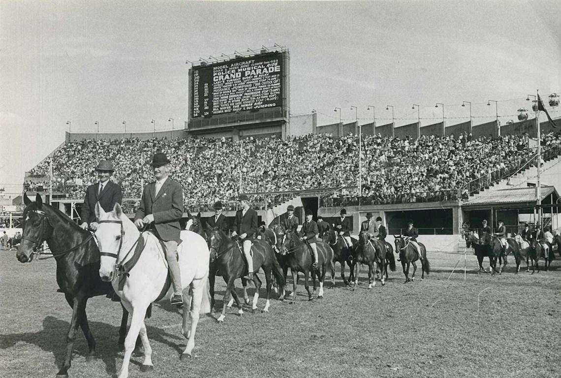 Horses Grand Parade - Photo